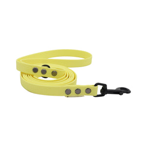Yellow hexa dog leash