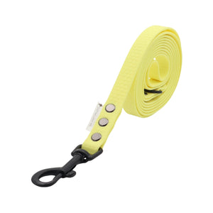 Yellow hexa dog leash