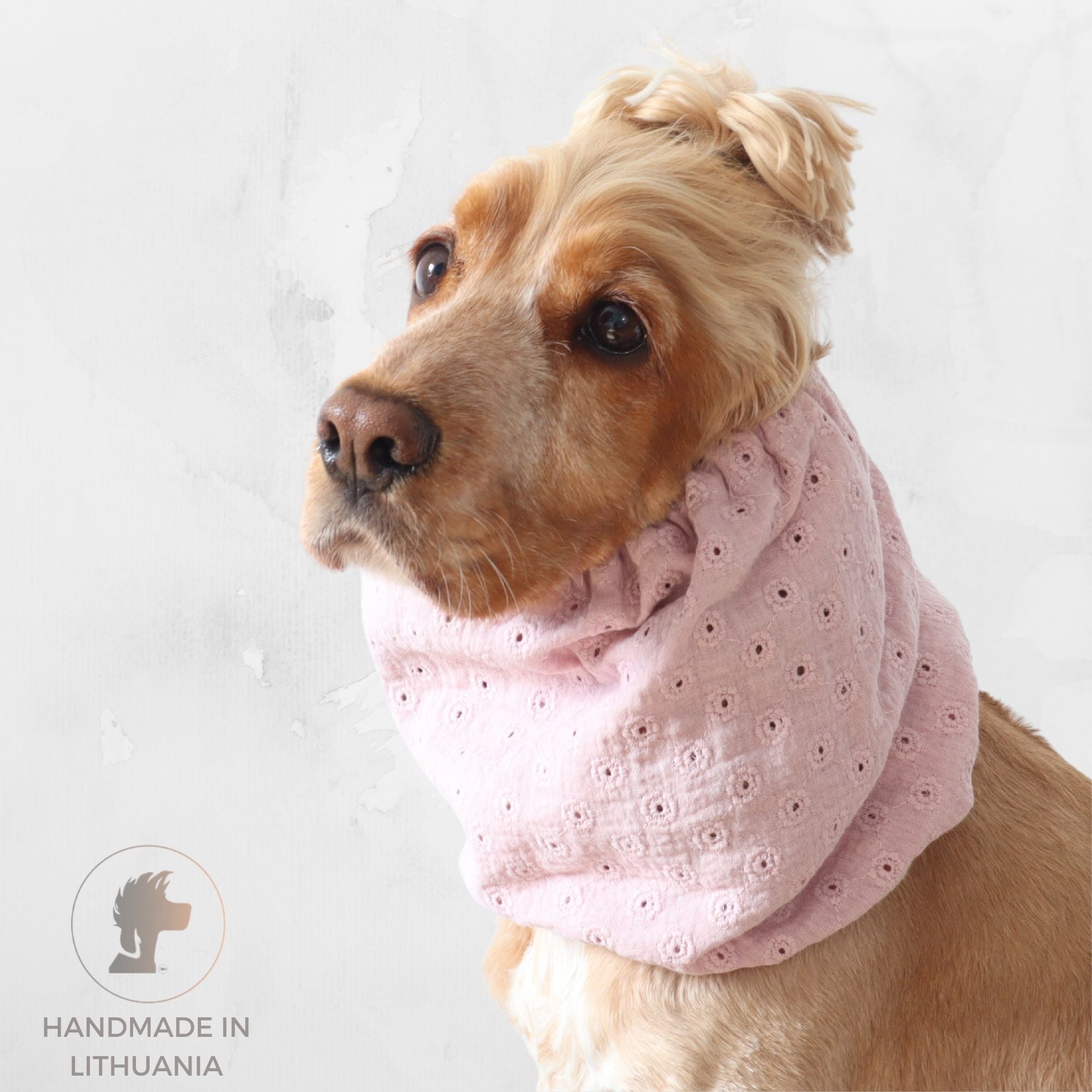 Golden English Cocker Spaniel wearing a blush pink embroidered cotton muslin dog snood with delicate eyelet details.