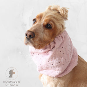Golden English Cocker Spaniel wearing a blush pink embroidered cotton muslin dog snood with delicate eyelet details.
