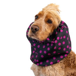 Dog wearing a black polka dot scarf on a white background