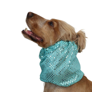 A golden  dog wearing a sparkling teal sequined dog snood shown against a plain white background.