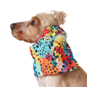 Golden English Cocker Spaniel wearing a colorful cotton muslin dog snood with a bright abstract animal print.