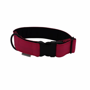 A red and black dog collar with a black plastic quick-release buckle and a metal ID tag ring, shown on a plain white background.
