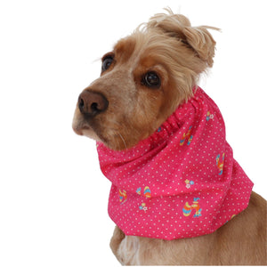 Golden English Cocker Spaniel wearing a bright pink cotton snood with vintage roosters, tiny flowers and white dots.