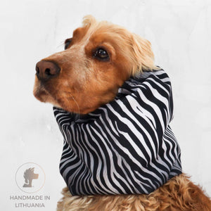 Dog wearing a zebra-patterned hoodie on a white background