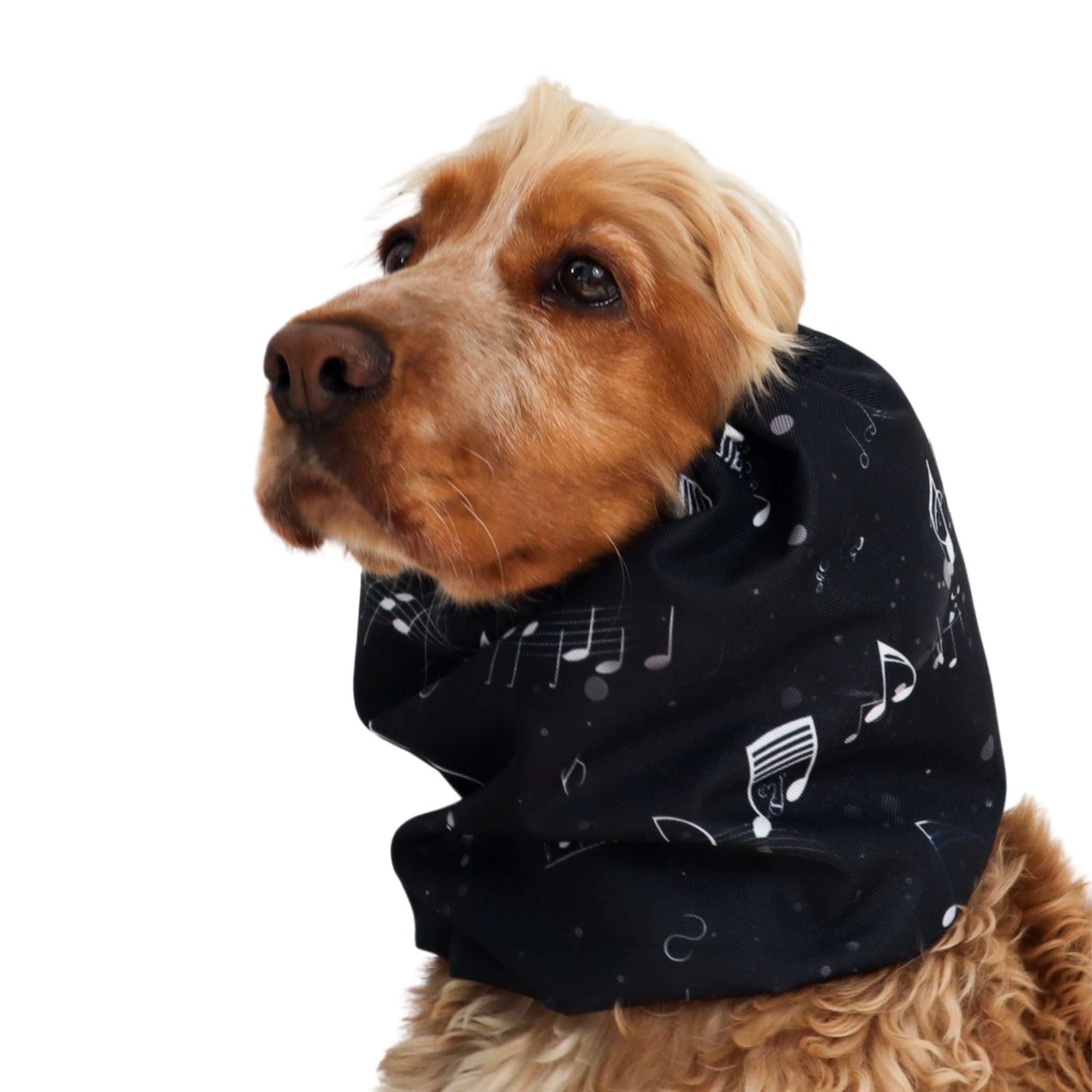 小物 LAD MUSICIAN - bicolor fur snood LAD MUSICIAN - bicolor fur snood