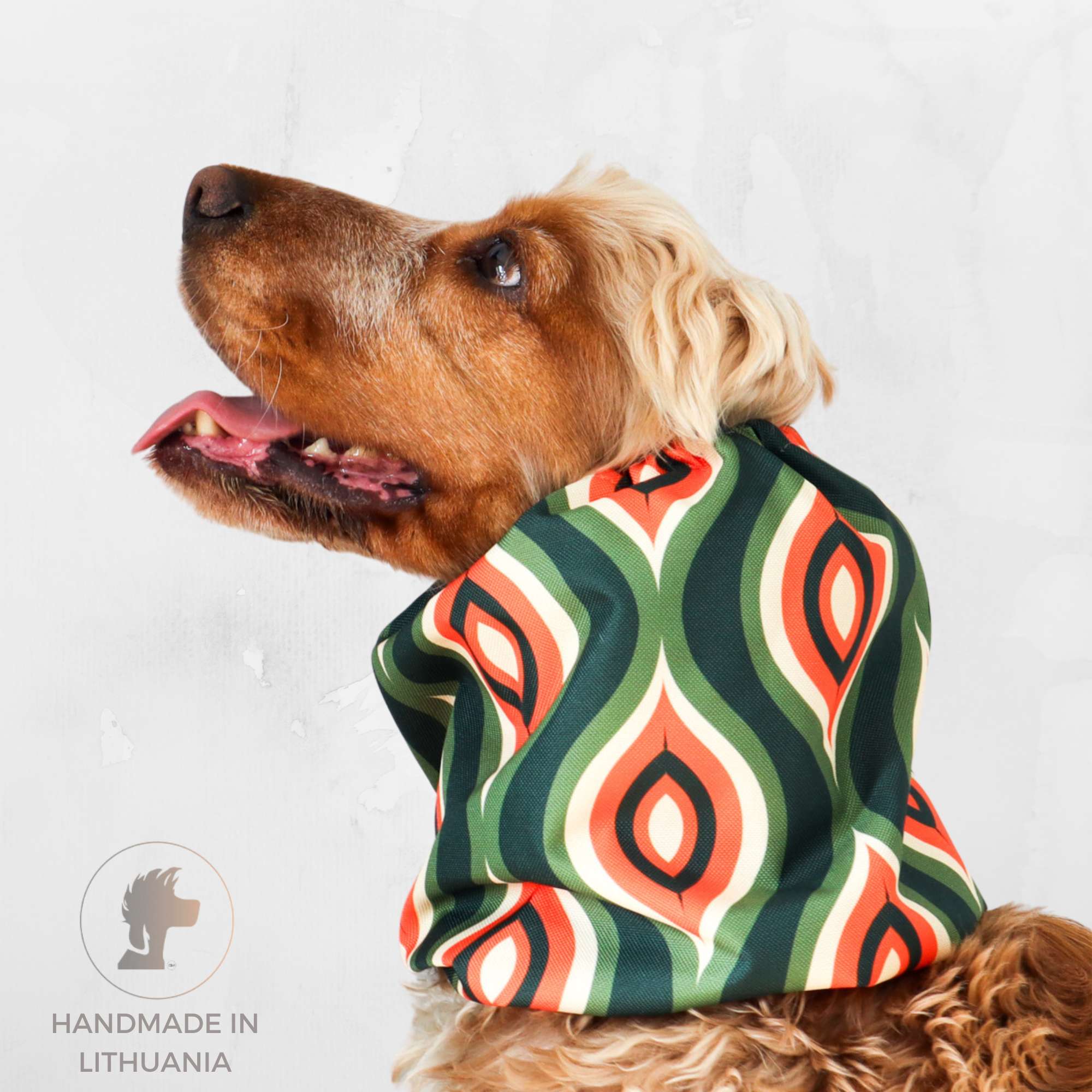 Waterproof dog snood in retro print – ear cover for English Setter, Beagle, and long-eared dogs