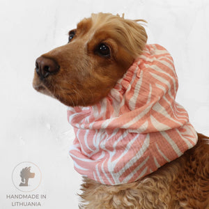 Cocker spaniel in pink zebra muslin dog snood – Soft Jungle by Distinguish Me

