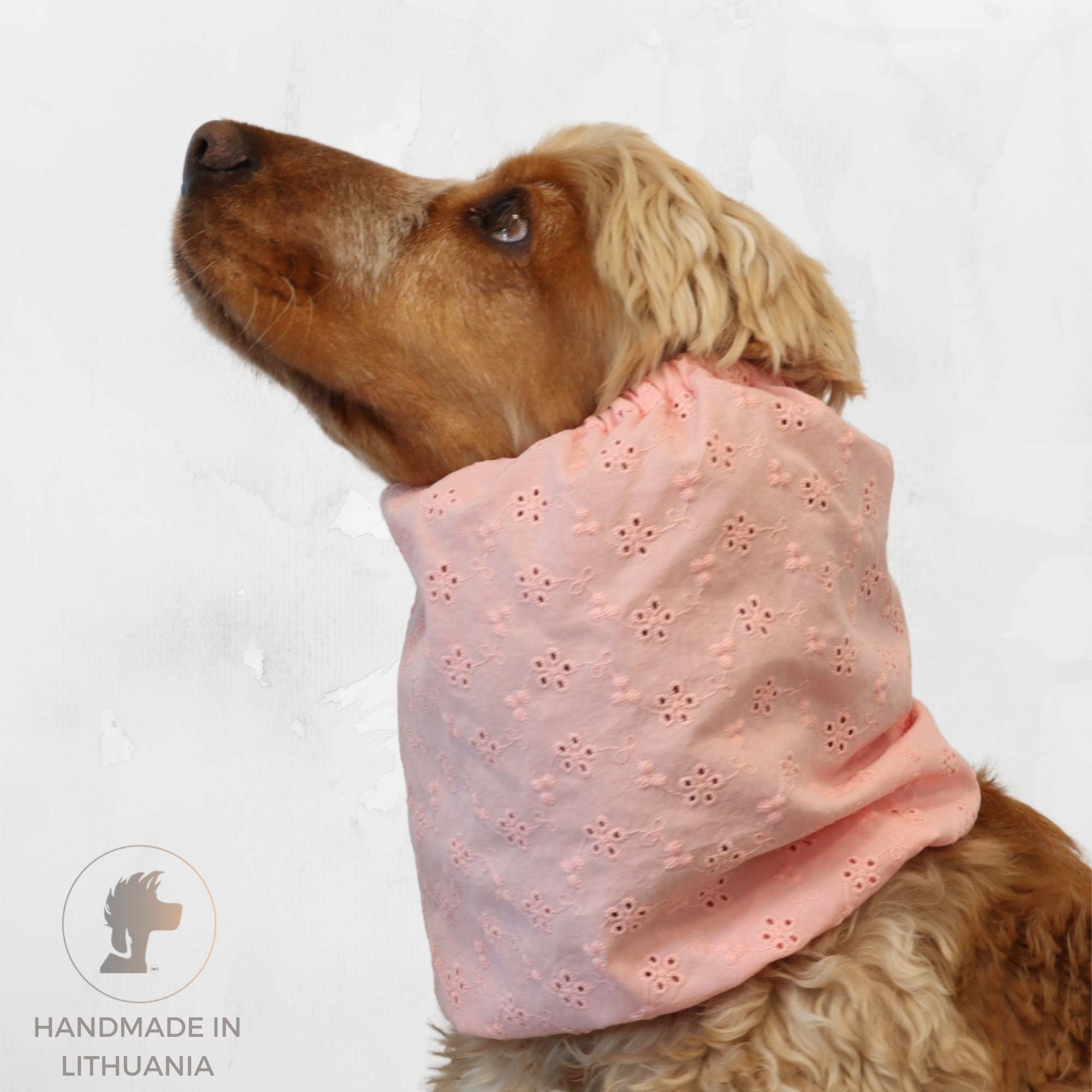 Cocker spaniel wearing blush pink eyelet cotton snood for long ears by Distinguish Me