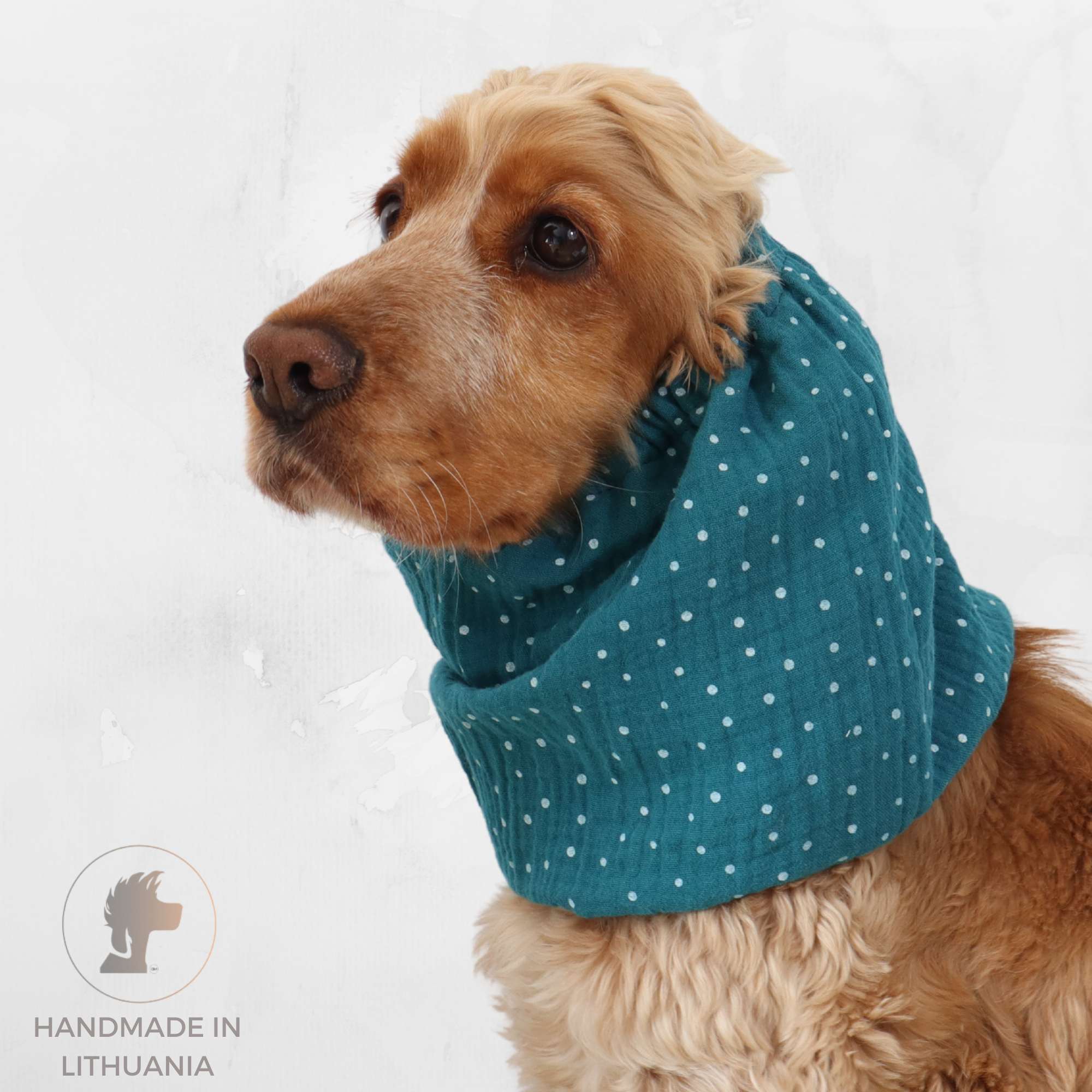Cotton (Muslin) Dog Snood | Dots in Laguna Blue