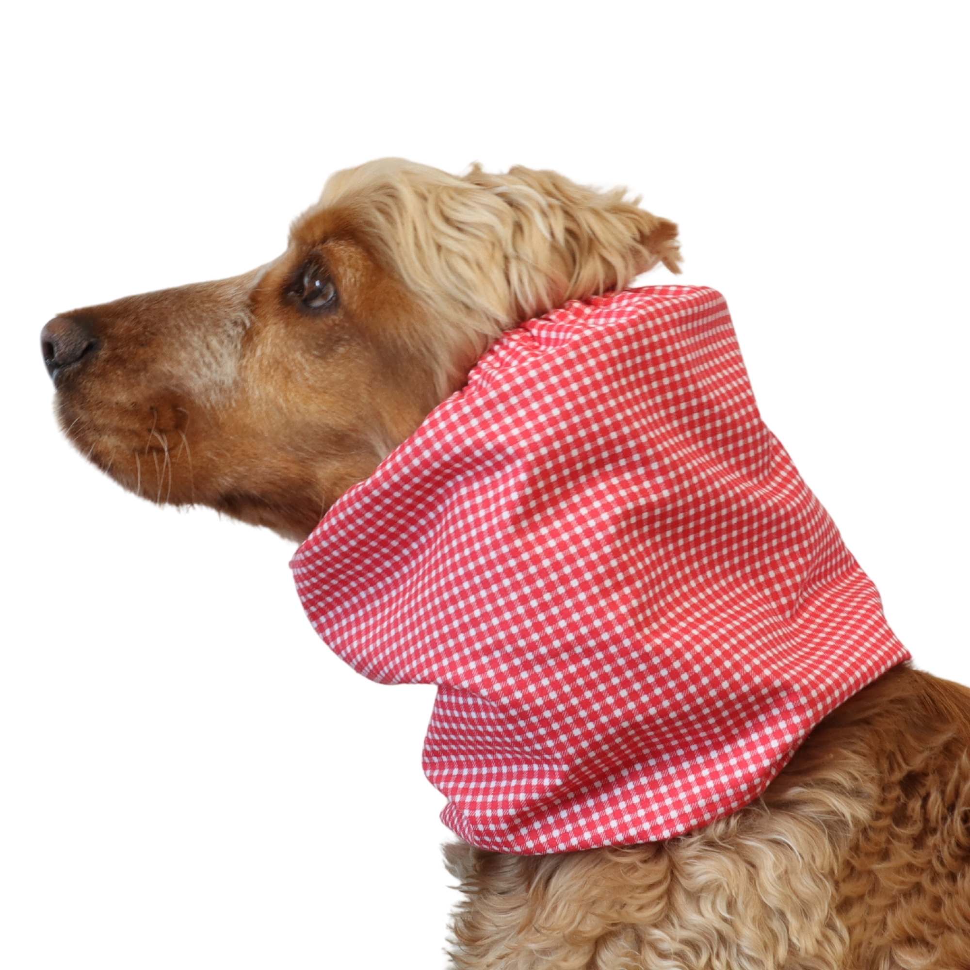 Spaniel wearing red gingham cotton dog snood for long ears, perfect for summer walks and feeding time