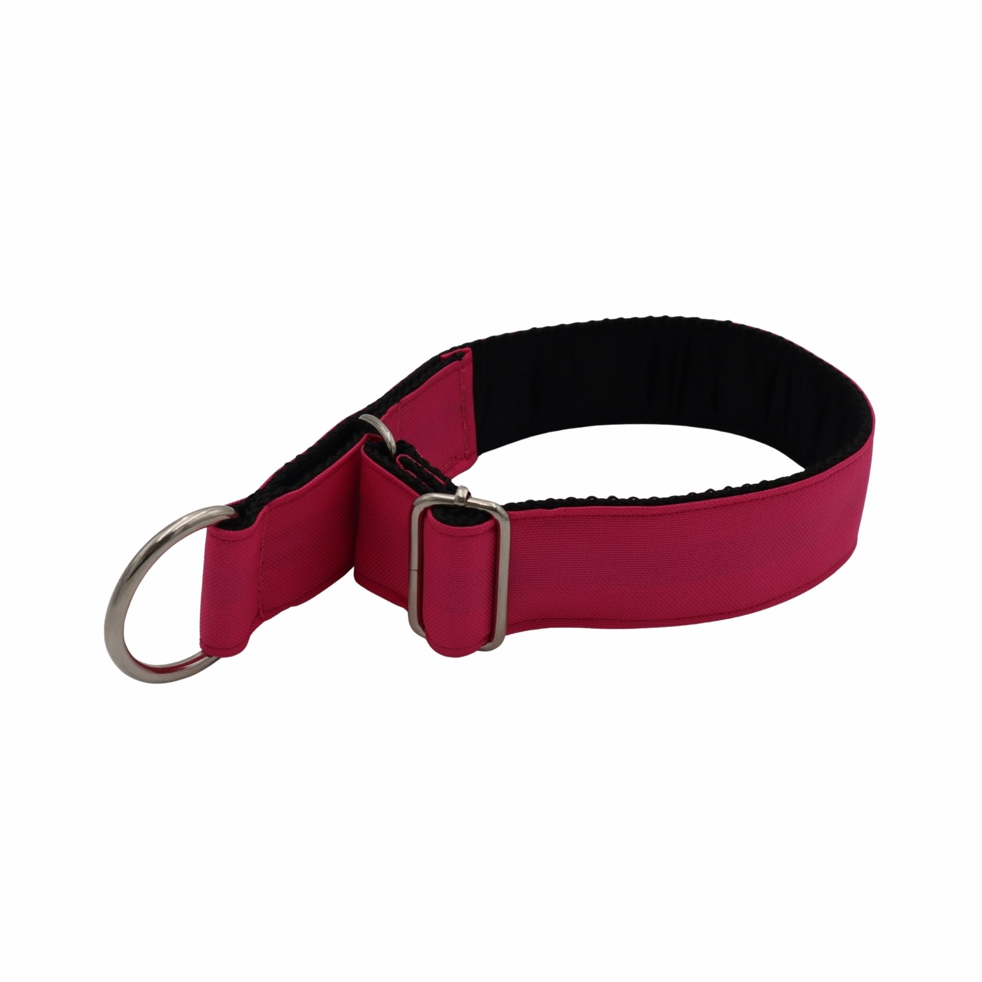 A pink and black padded collar with a silver metal buckle and a silver D-ring, shown on a plain white background.