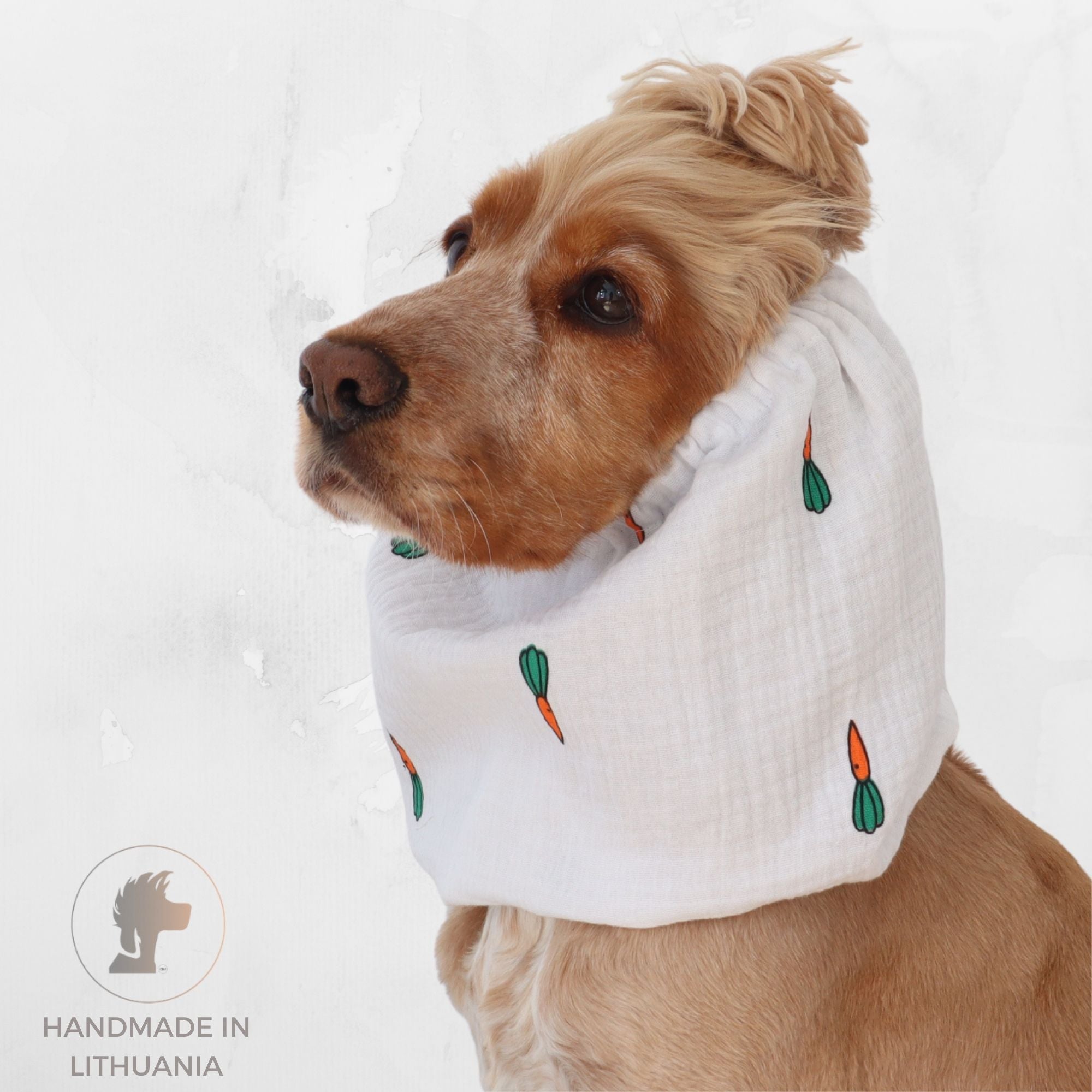 Golden English Cocker Spaniel wearing a white cotton muslin dog snood printed with orange and green carrots.