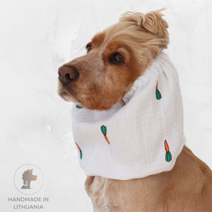 Golden English Cocker Spaniel wearing a white cotton muslin dog snood printed with orange and green carrots.