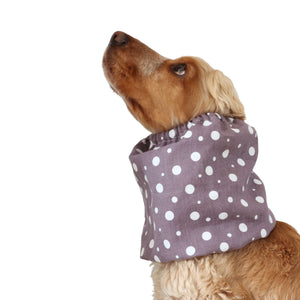 Dog snood Distinguish me