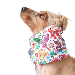 Golden English Cocker Spaniel wearing a colorful cotton dog snood patterned with butterflies, flowers .