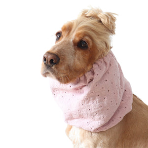 Golden English Cocker Spaniel wearing a blush pink embroidered cotton muslin dog snood with delicate eyelet details.