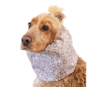 Leopard print dog snood for spaniel and cavalier