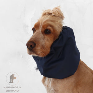Golden English Cocker Spaniel wearing a solid deep navy cotton dog snood over its long ears.
