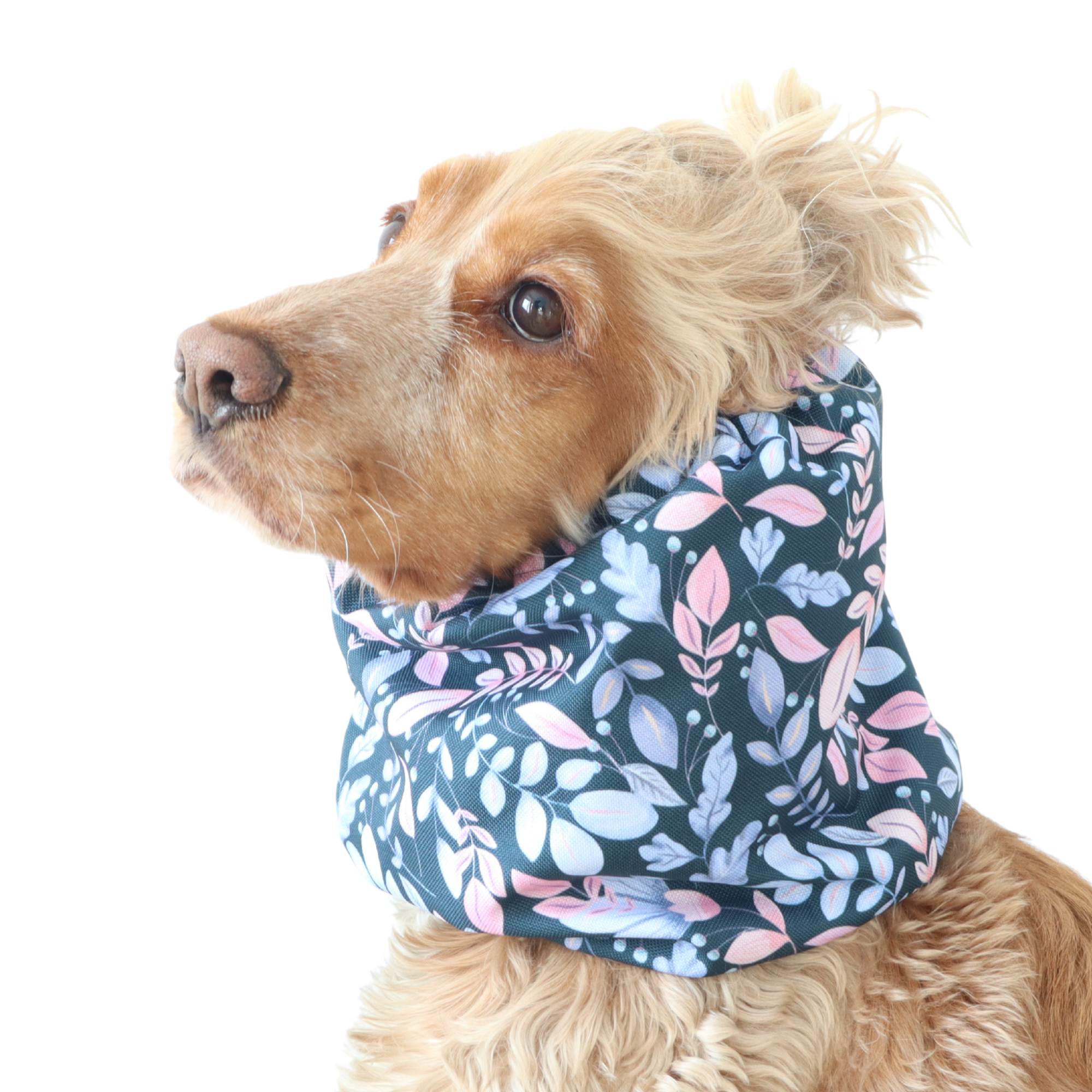 Long-eared dog snood by Distinguish me in Twilight Leaves leaf pattern, snug comfortable fit for daily walks