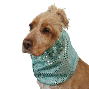 Dog with green snood