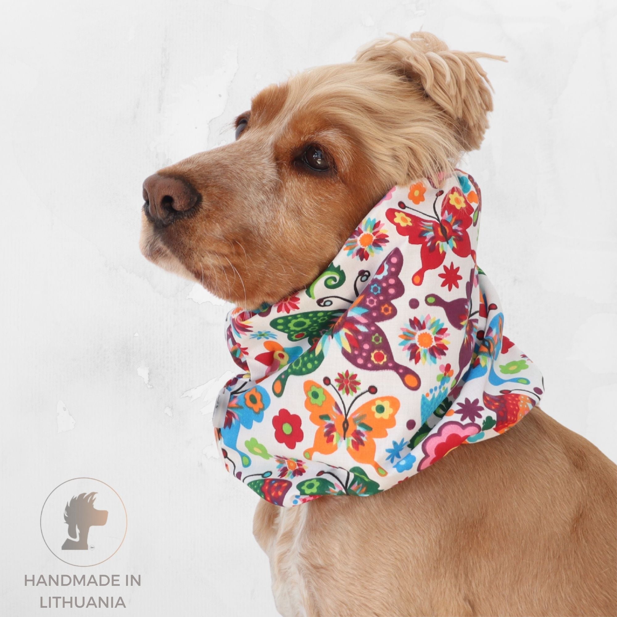 Golden English Cocker Spaniel wearing a colorful cotton dog snood patterned with butterflies, flowers .
