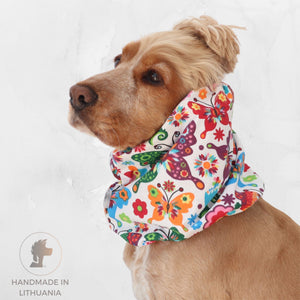 Golden English Cocker Spaniel wearing a colorful cotton dog snood patterned with butterflies, flowers .