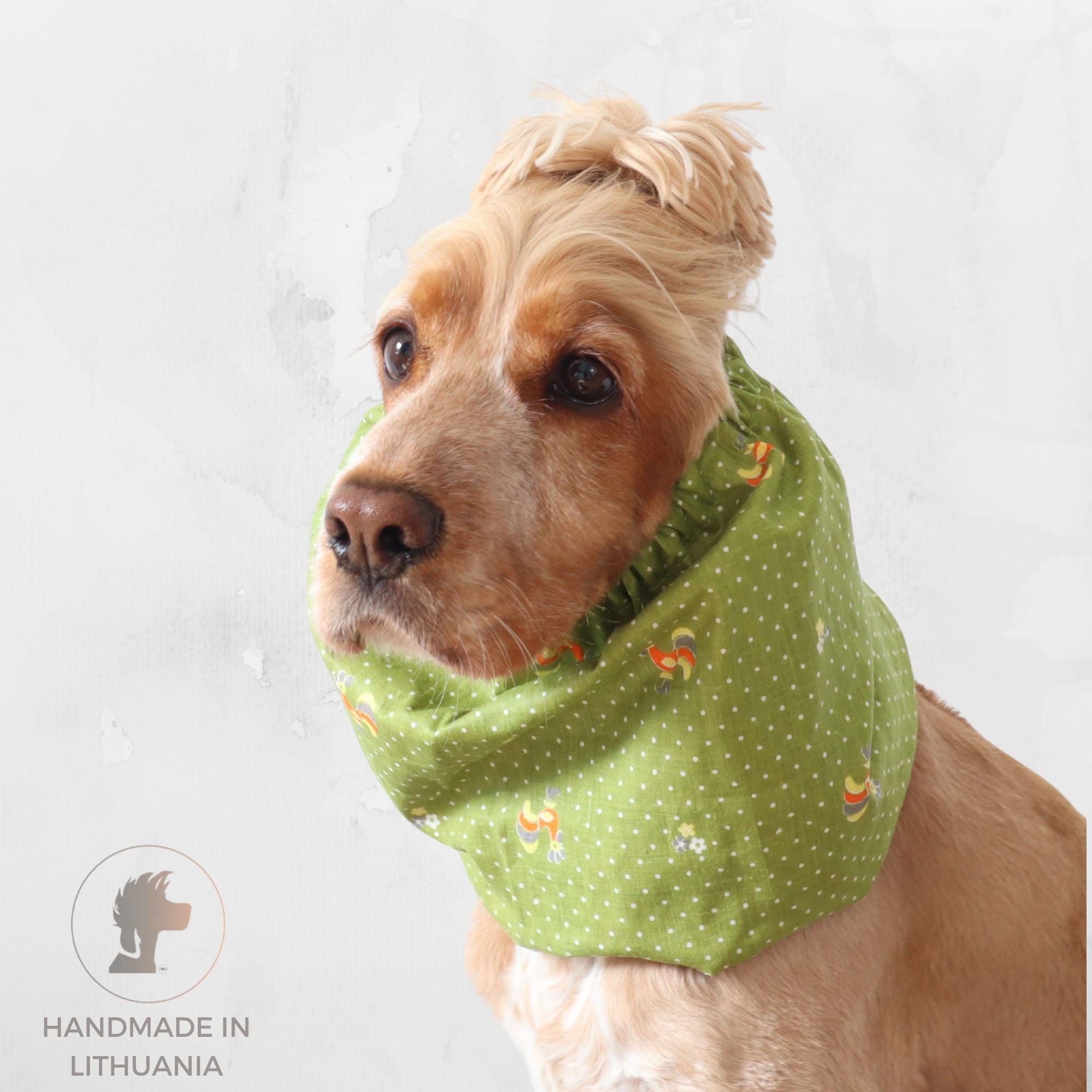 Golden English Cocker Spaniel wearing a green cotton snood with vintage roosters, tiny flowers and white dots.