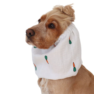 Golden English Cocker Spaniel wearing a white cotton muslin dog snood printed with orange and green carrots.