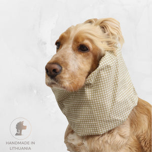 Golden Cocker Spaniel wearing the Beige Cells lightweight cotton summer dog snood with a beige and white checked pattern.
