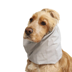Front three-quarter view of a Cocker Spaniel wearing the Pastel Cells lightweight dog snood, showing the soft checked cotton pattern and overall fit.