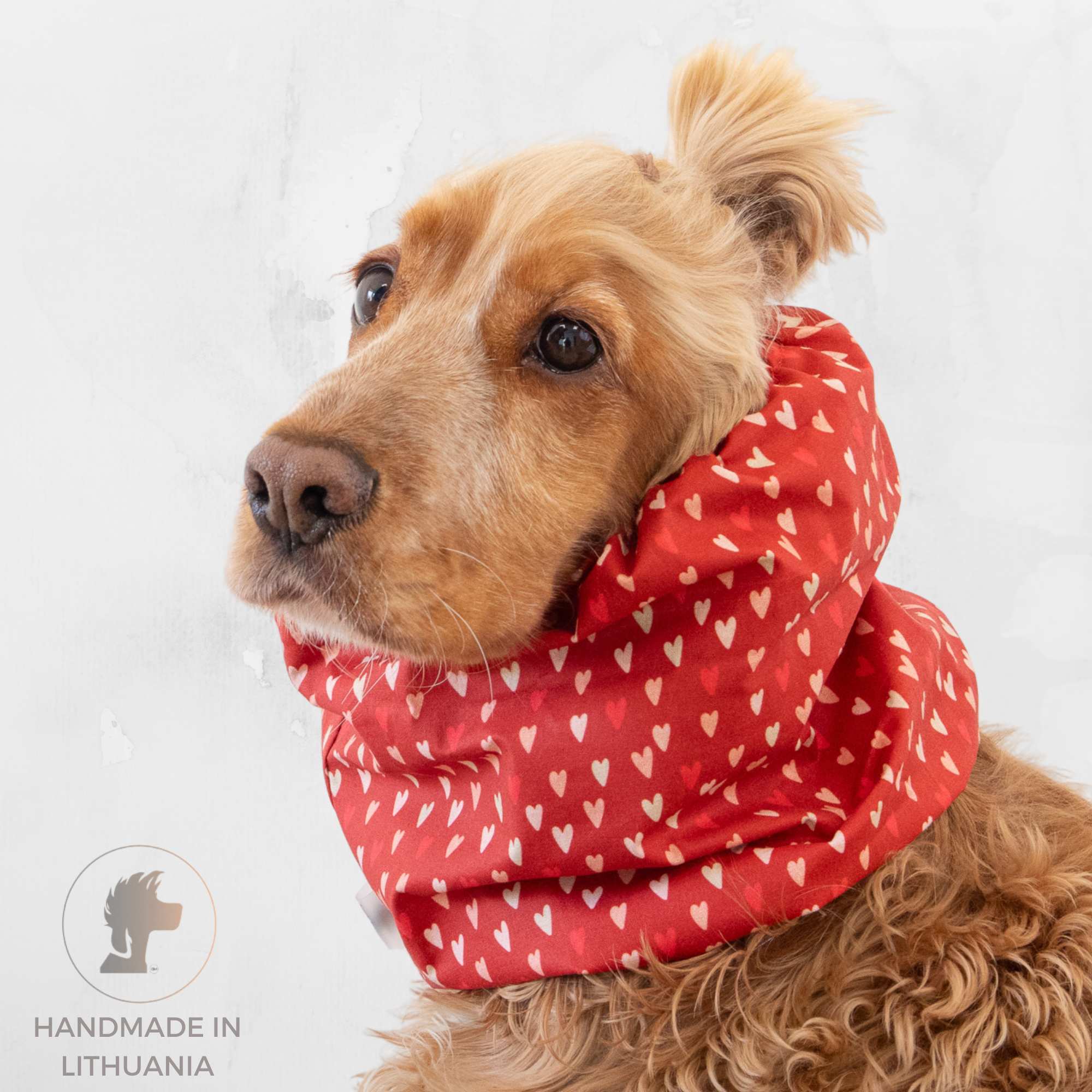 Cotton summer dog snood with hearts pattern for long eared dogs, handmade by Distinguish Me