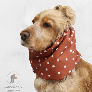 Golden Cocker Spaniel wearing the Terracotta Dots waterproof dog snood with a warm terracotta fabric and white polka dot pattern.