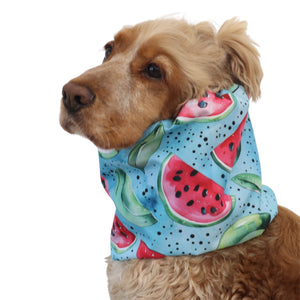 Distinguish me waterproof dog snood Watermelons in bright summer fruit pattern for ear and neck protection