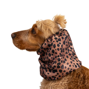 Dog wearing a leopard print hoodie on a white background