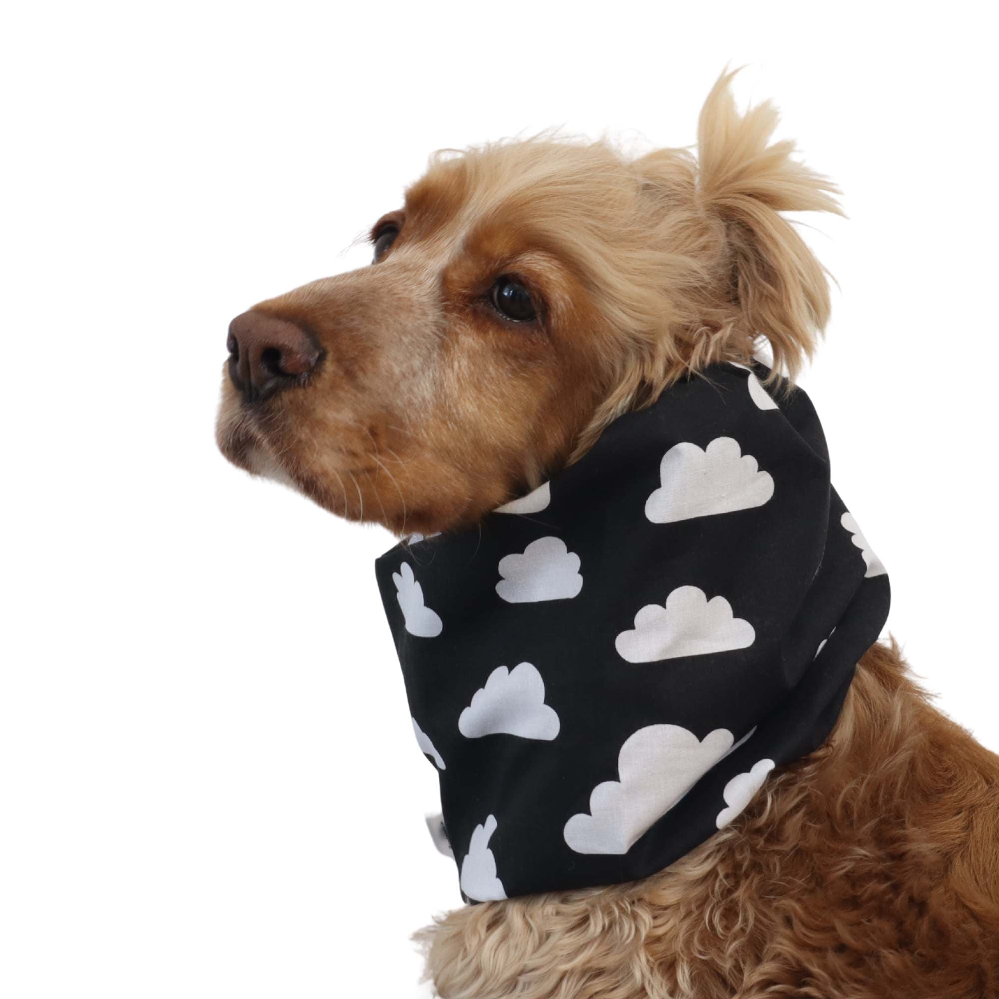 Long-eared dog snood by Distinguish me, cotton White Clouds design for daily walks and warm weather