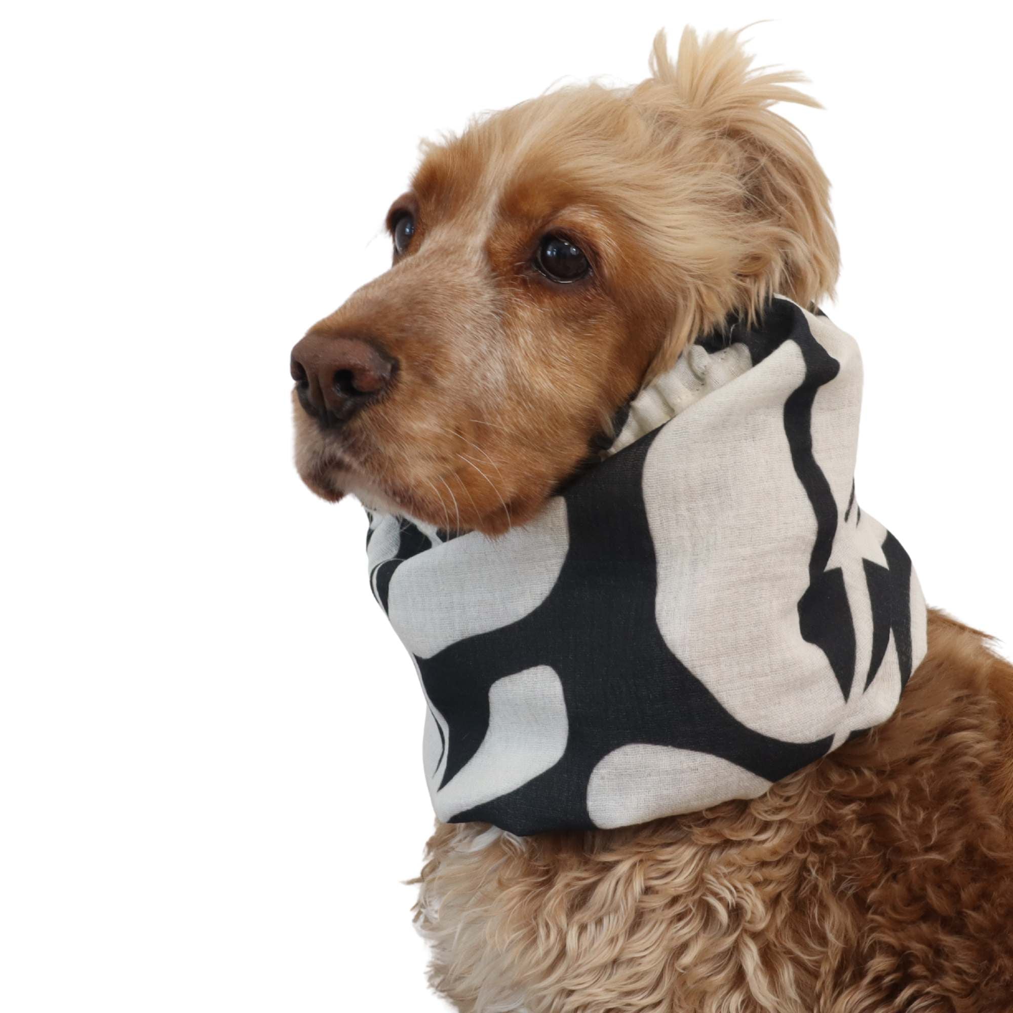 Long-eared dog snood by Distinguish me, White Leaf cotton muslin design for daily walks and warm weather