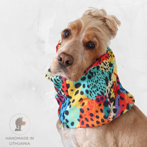 Golden English Cocker Spaniel wearing a colorful cotton muslin dog snood with a bright abstract animal print.