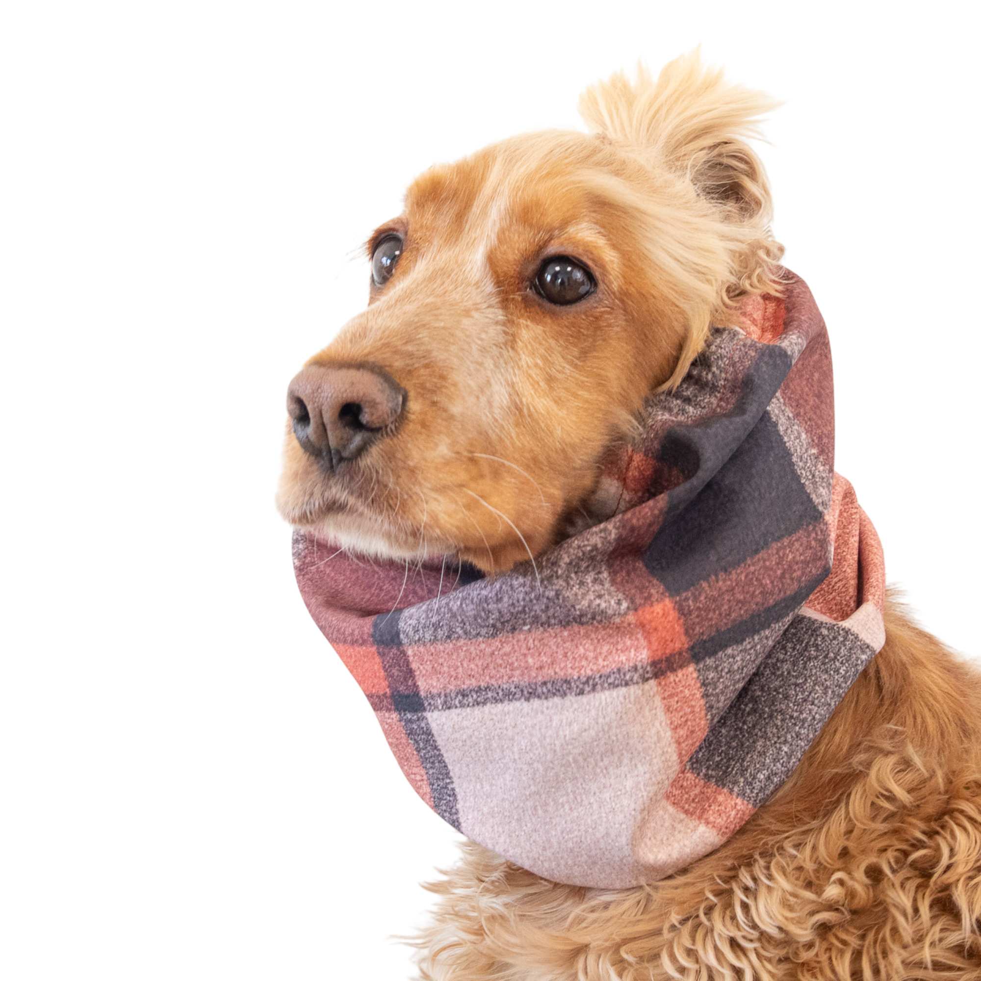 Warm tartan winter dog snood for long eared breeds