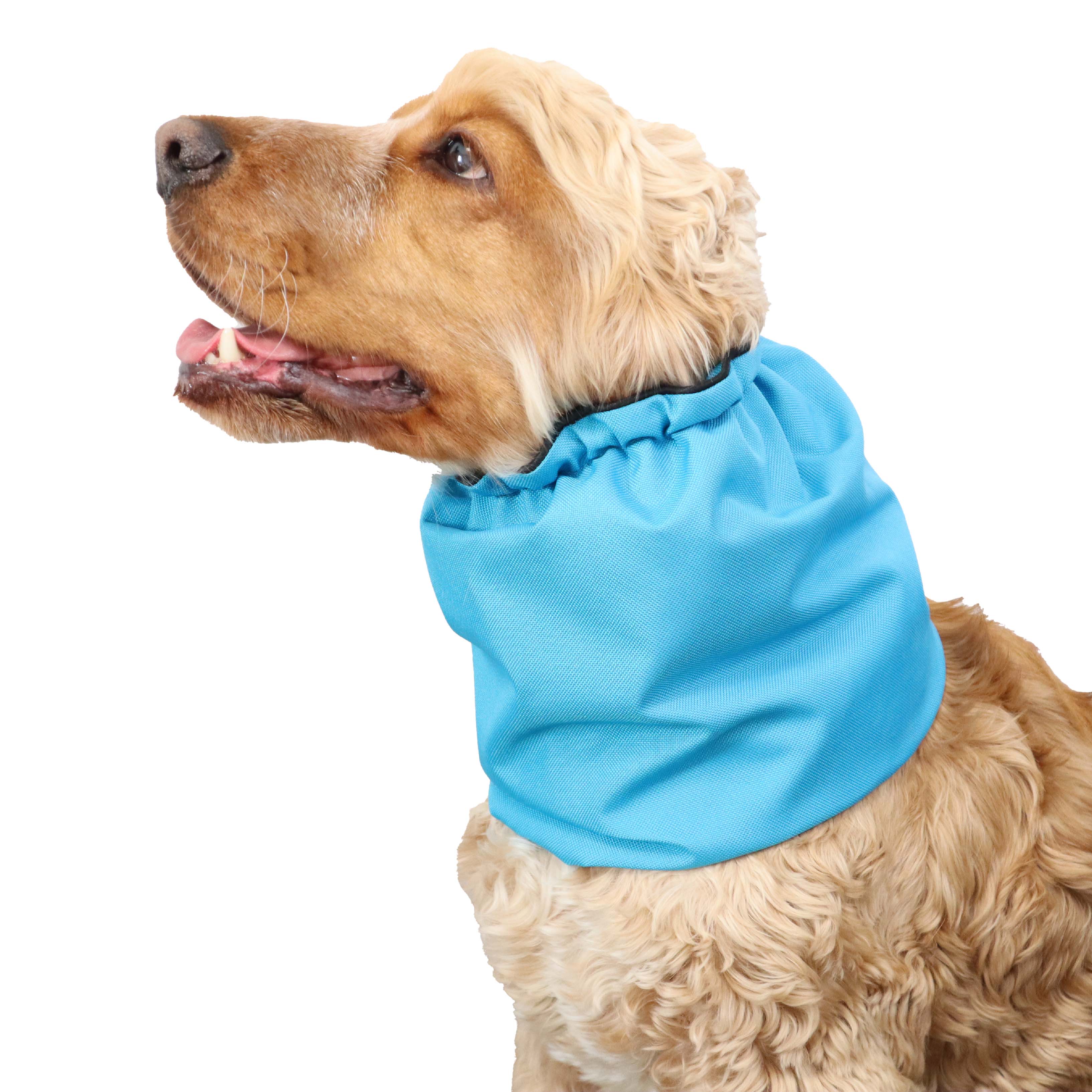 WATERPROOF DOG SNOOD DISTINGUISH ME