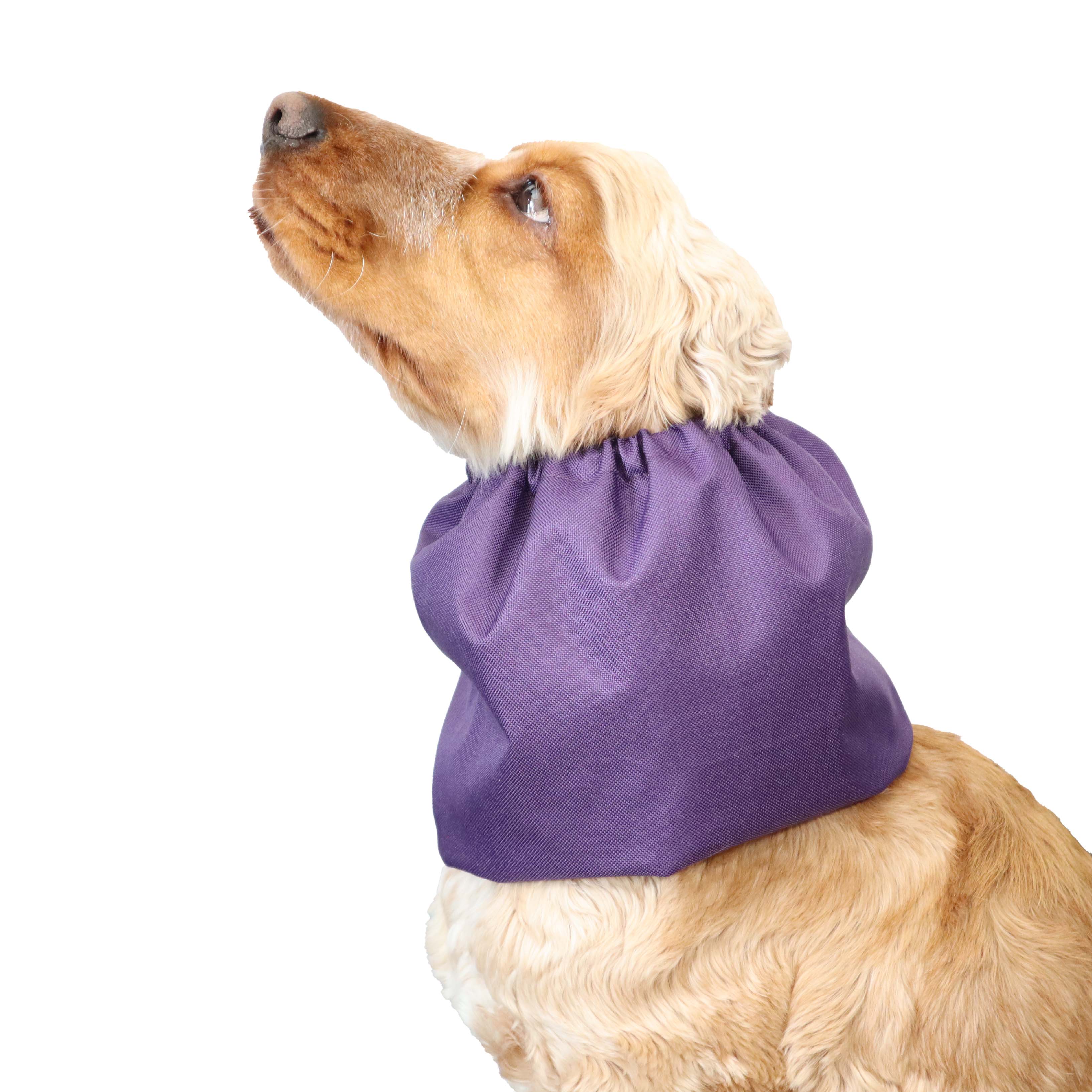 dog ear covers for noise Purple Distinguish Me