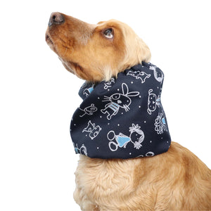 dog snood distinguish me