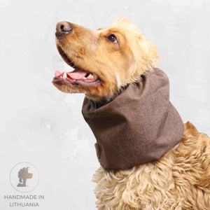 elegant dog snood crochet Distinguish Me