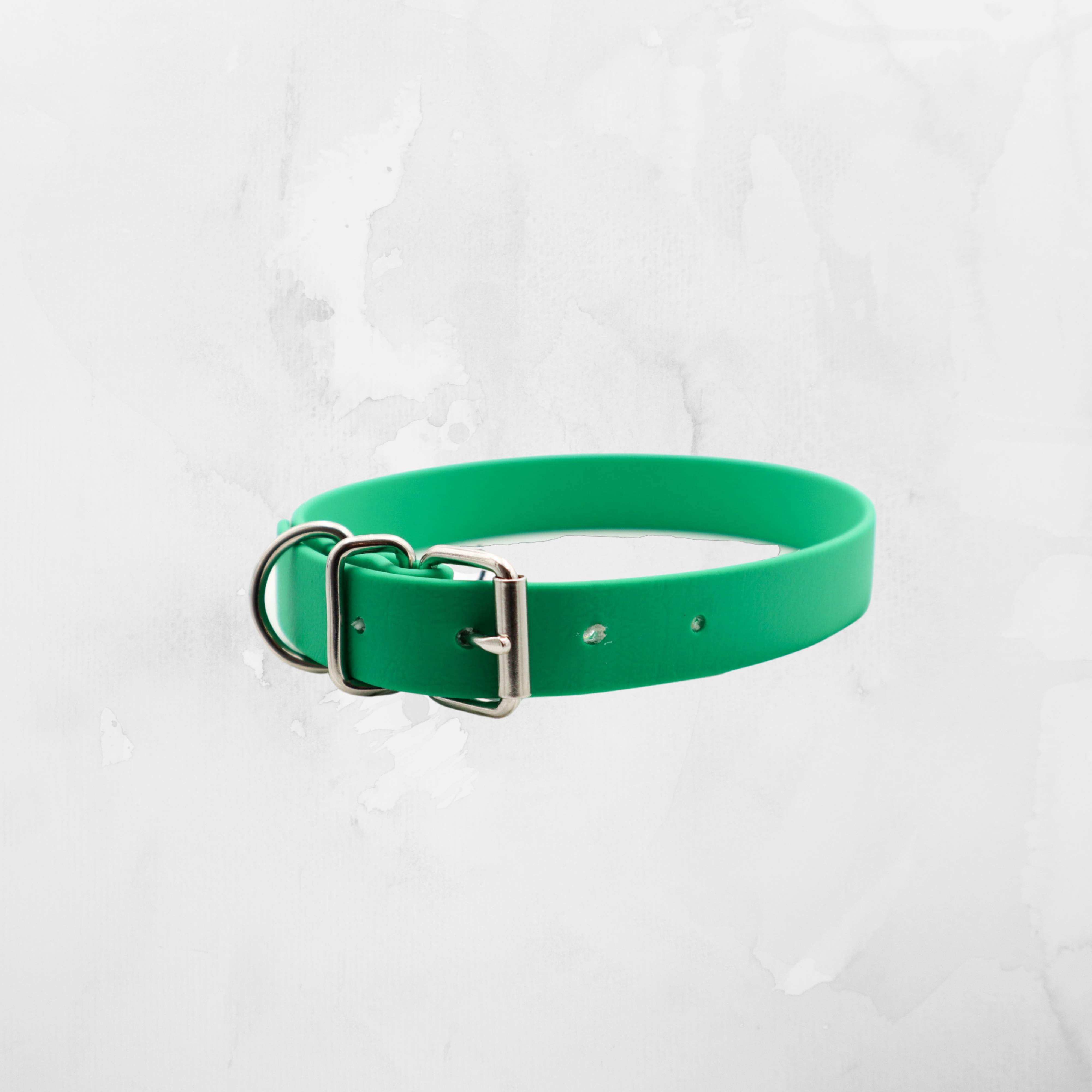 Emerald green biothane dog collar featuring a polished silver buckle, set against a white textured backdrop Distinguish Me