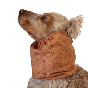 Copper blossom muslin snood for Spaniel, Cavalier, Poodle and other long eared dogs