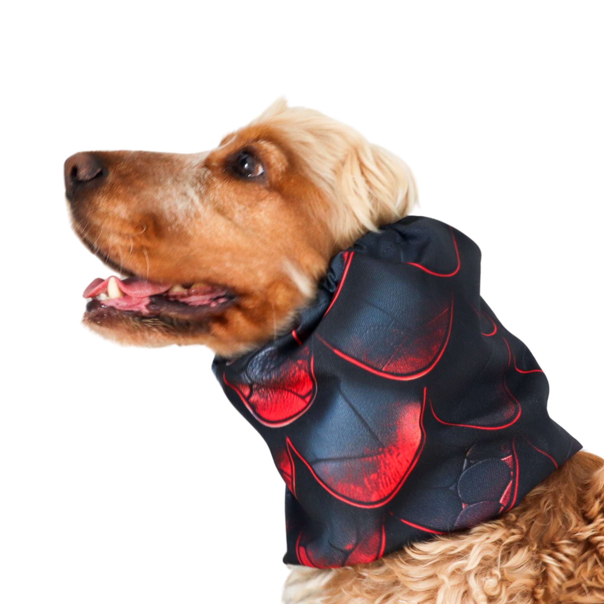 Waterproof dog snood with red dragon scale pattern – ear protection for spaniels and long-eared dogs, fantasy-inspired