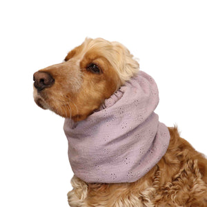 Dog with snood by Distinguish me