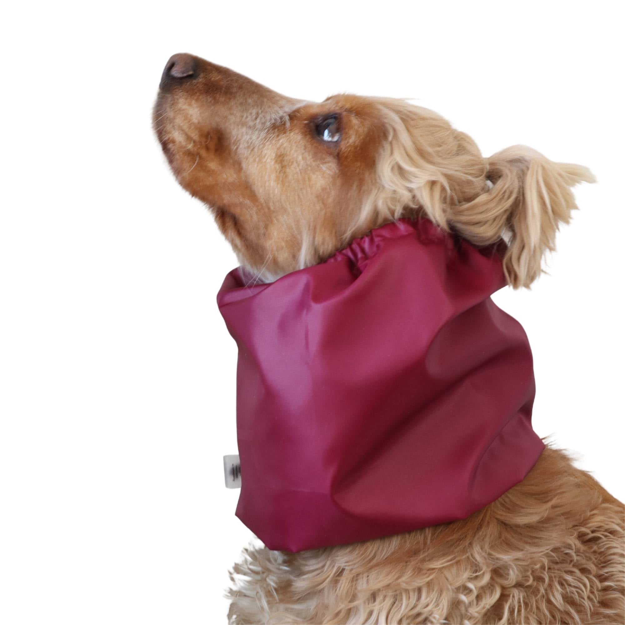 Long eared dog wearing a lightweight burgundy dog snood by Distinguish Me