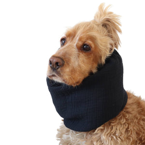 Lightweight black feeding snood worn by a Cocker Spaniel to protect long ears